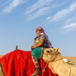 ebiz-travel-gallery-45