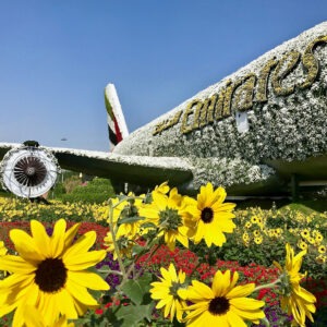 ebiz-travel-gallery-48